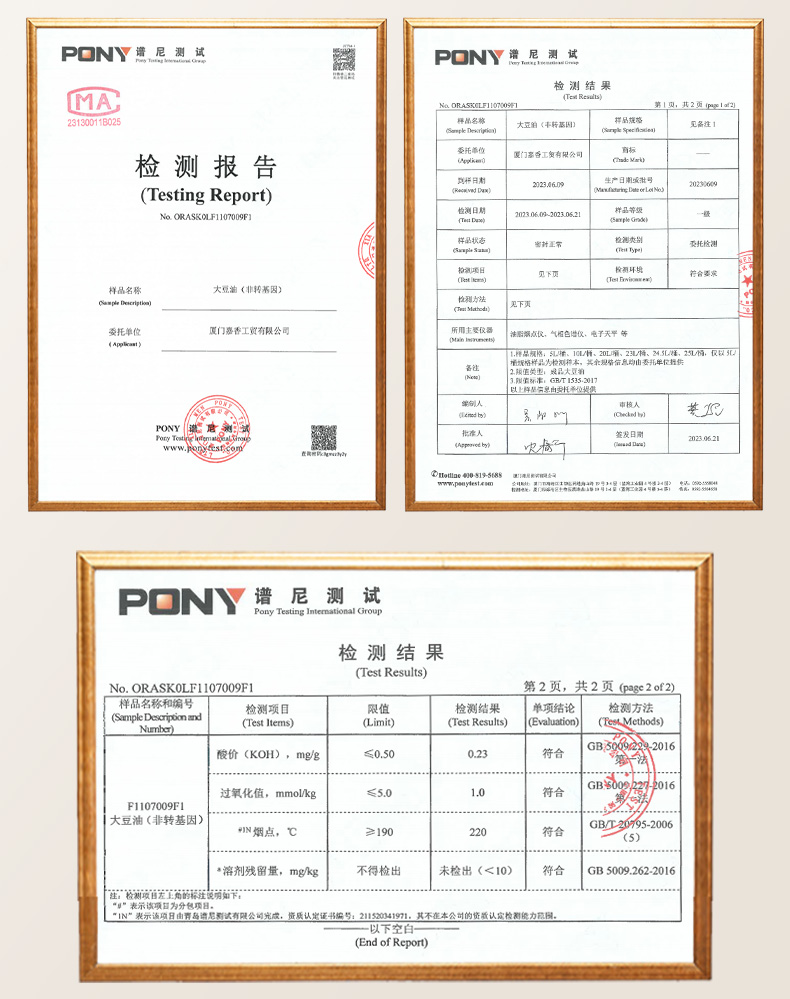检测报告